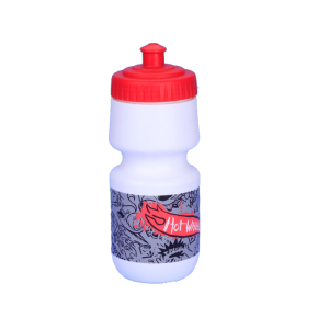 Aigua embotellada 500ml